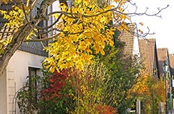 Siedlung 191 WEB